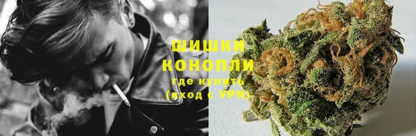 альфа пвп Нея