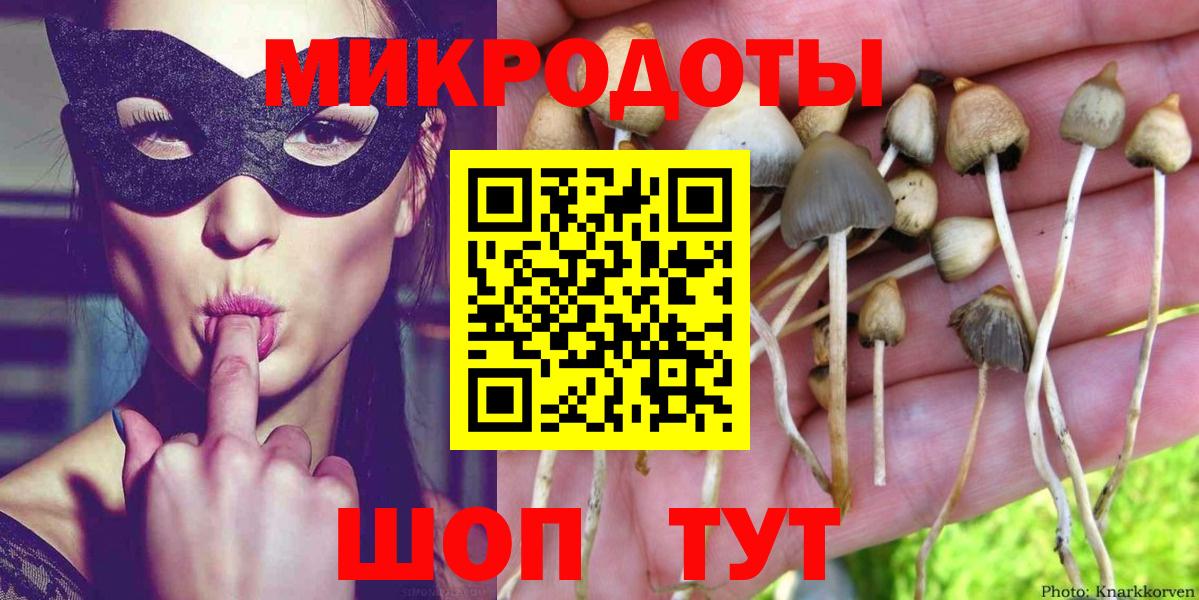 Серпухов  Псилоцибиновые грибы прущие грибы  Вход с VPN 